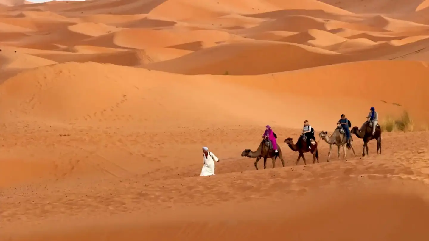 A guide leading four camels and their riders across bright orange sand dunes in morning light