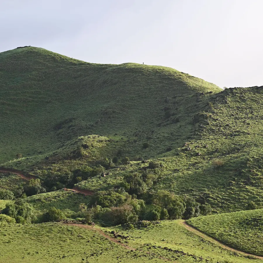 Explore the verdant hills and scenic landscapes of Madikeri, Karnataka, offering breathtaking views of nature's beauty