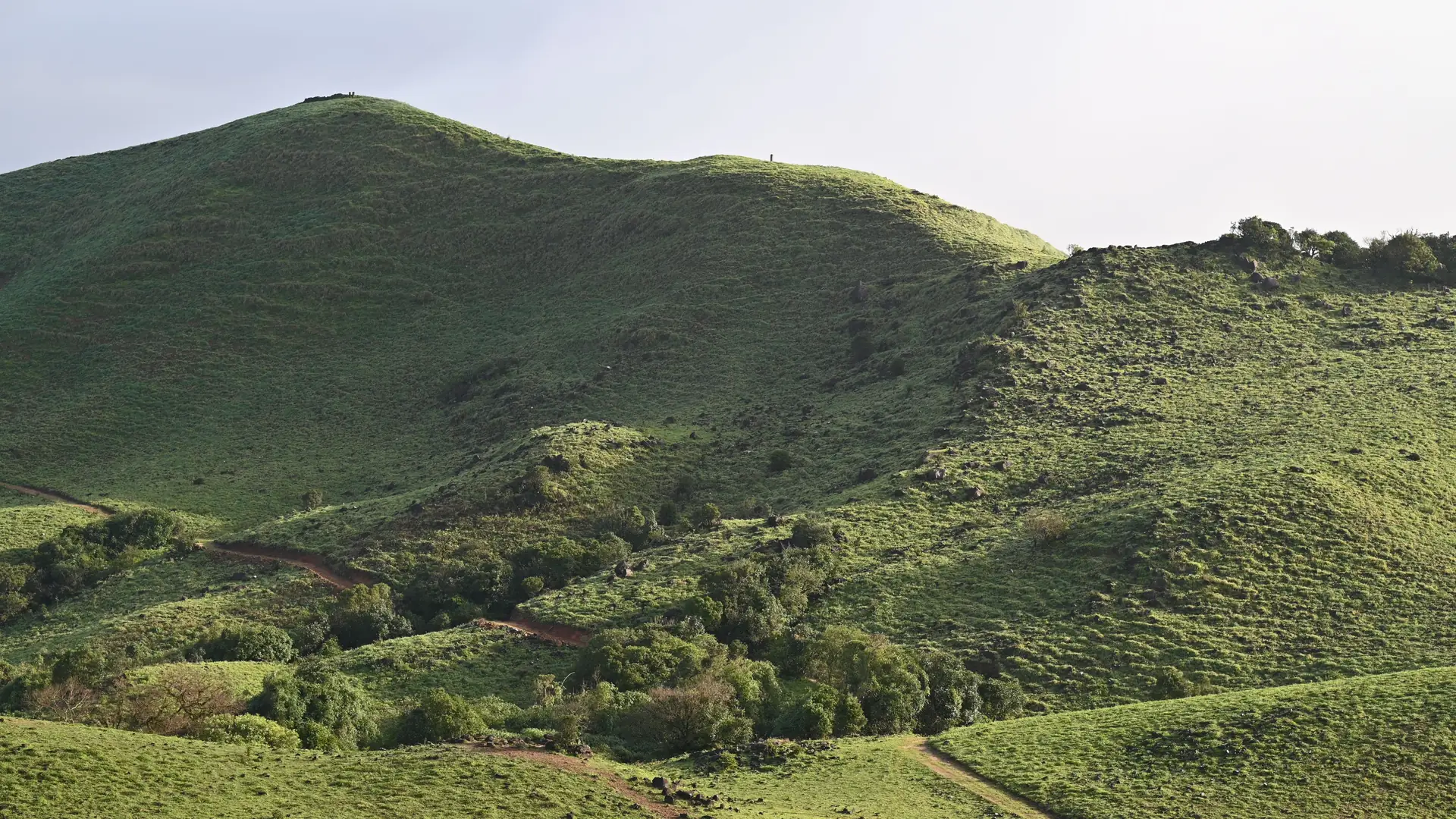 Explore the verdant hills and scenic landscapes of Madikeri, Karnataka, offering breathtaking views of nature's beauty