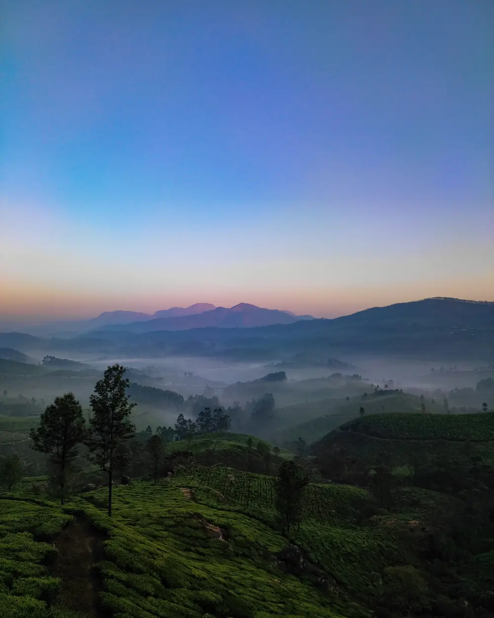 Capture the serene beauty of Munnar's misty hills during a breathtaking sunrise