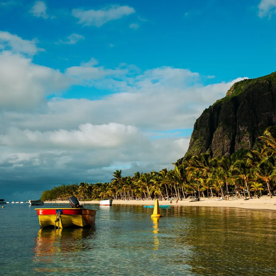 Serene beach scene with palm trees and boats at Le Morne, Mauritius during a sunny day