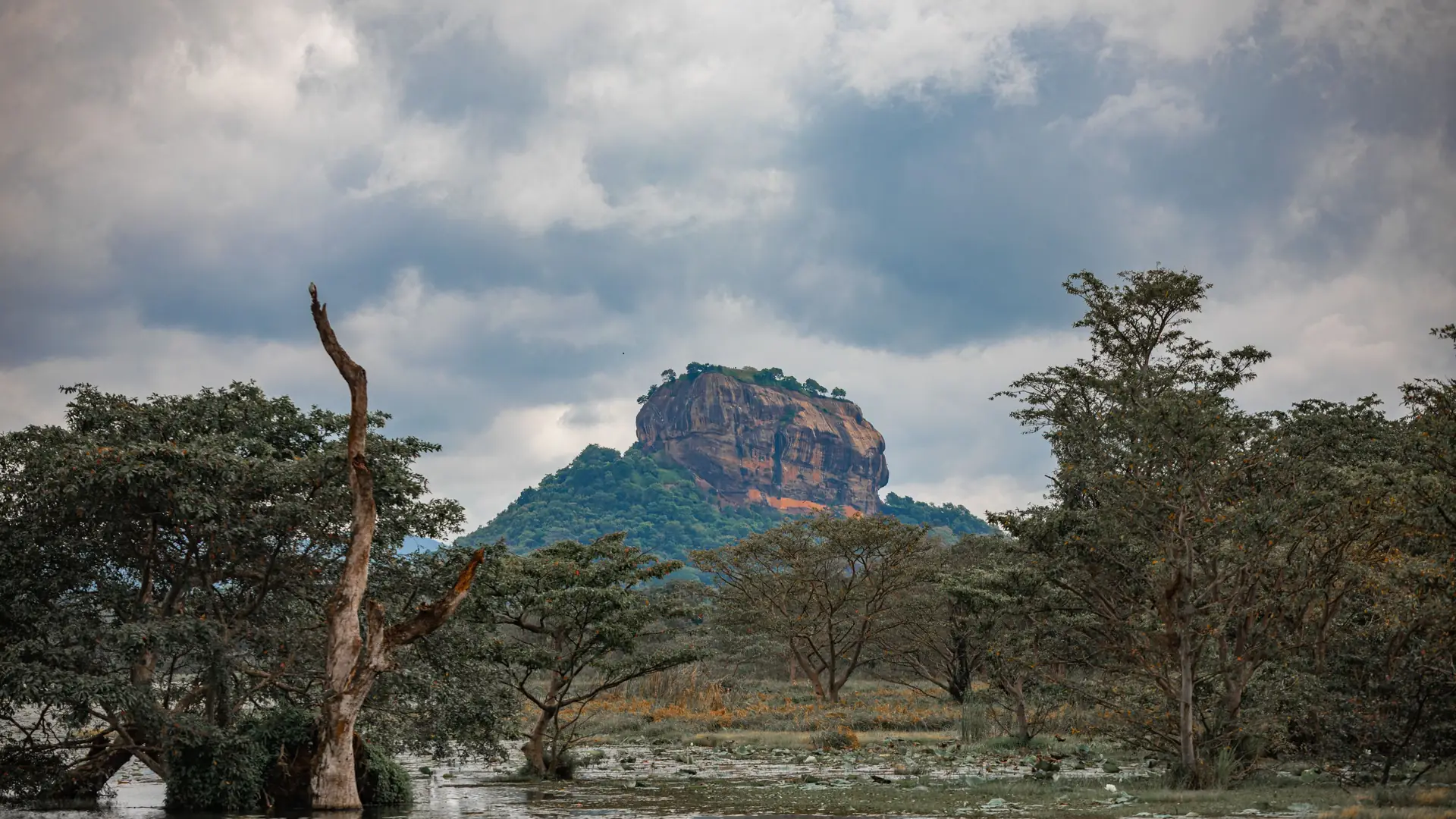 Majestic Sigiriya Rock amidst lush foliage and moody clouds in Sri Lanka