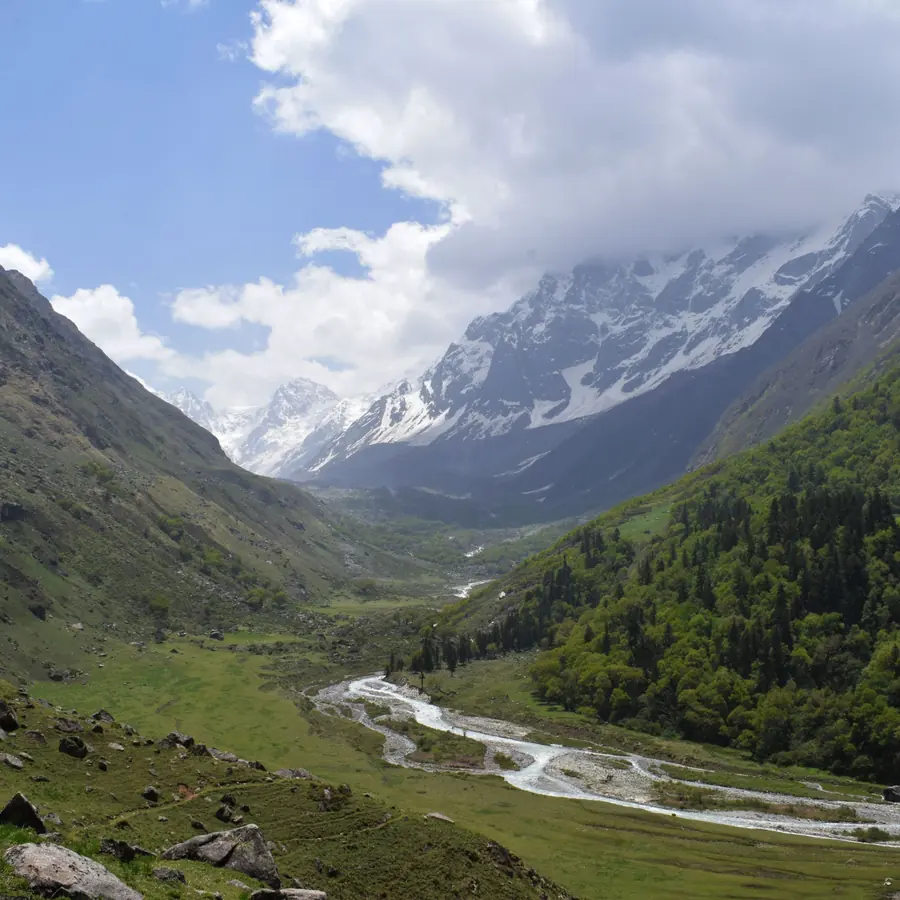Stunning Himalayan valley with lush green meadows and snow-capped peaks