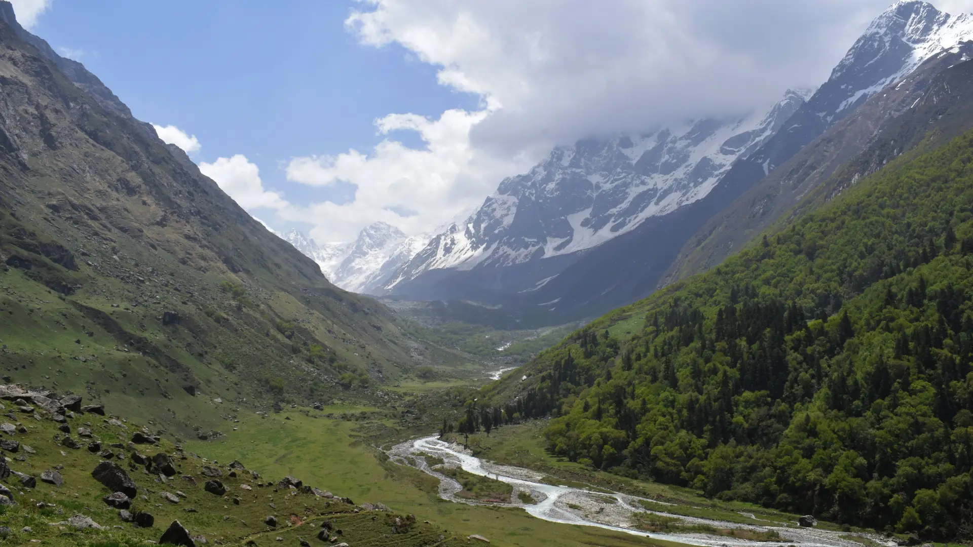 Stunning Himalayan valley with lush green meadows and snow-capped peaks